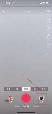 手机视频慢放播放器,解锁动作细节，重拾观影乐趣