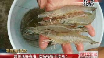 活虾 虫子 视频,探寻海洋生物的生存智慧