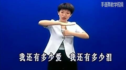 心手语视频,心手语视频深度解析