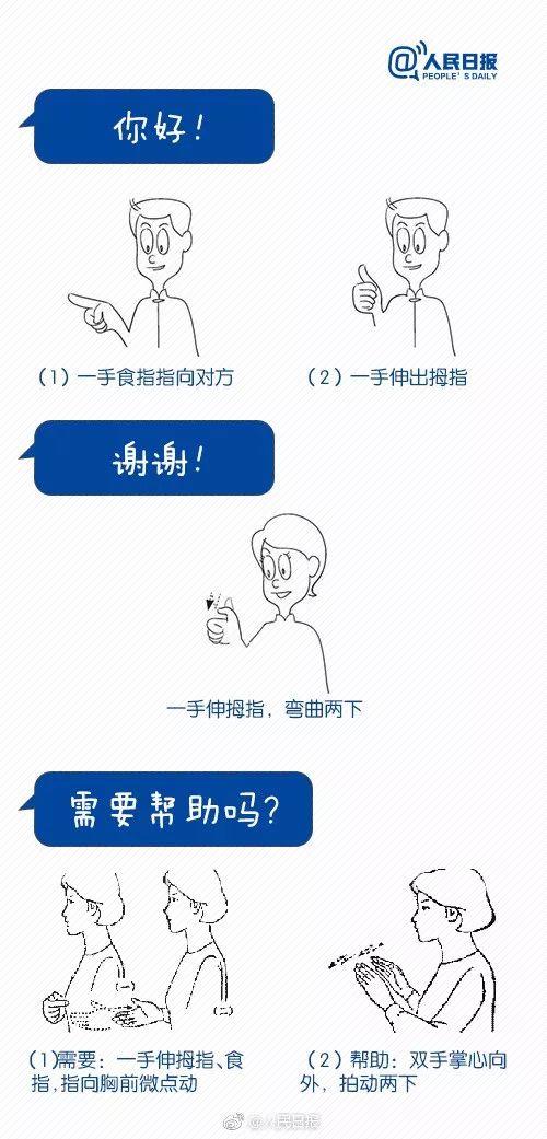 心手语视频,心手语视频深度解析