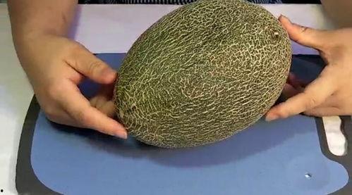 哈密瓜视频版,揭秘甜蜜瓜果的种植与美味之旅