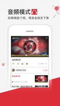 风皇视频下载,轻松获取海量视频资源攻略