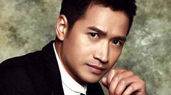 何晟铭视频,探寻演技与魅力的完美融合