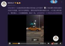 免费碰撞视频在线观看