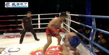 格斗比赛视频,格斗比赛精彩片段回顾