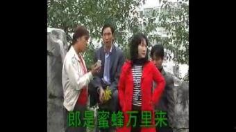 水城山歌视频,探寻古老旋律中的山水情怀