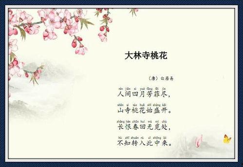 大林寺桃花视频,春意盎然视频赏析