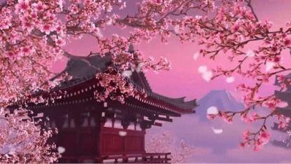 大林寺桃花视频,春意盎然视频赏析